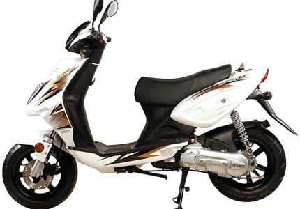 Sachs Speedjet 50 2009 Sachs Speedjet 50 2009