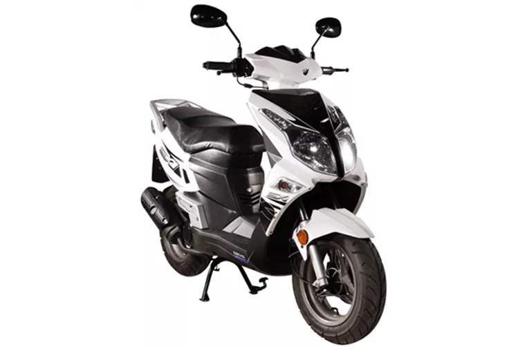 Sachs SX1 2009 Sachs SX1 2009