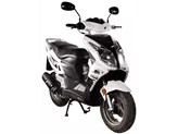 Sachs SX1 2009 Sachs SX1 2009