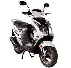 Sachs SX1 2009