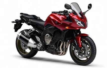 Yamaha FZ1 Fazer 2009 Yamaha FZ1 Fazer 2009