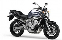 Yamaha FZ-6N 2009 - Bild 3