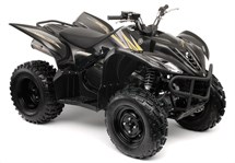 Yamaha Wolverine 350 2009 - Bild 3