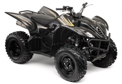Yamaha Wolverine 350 2009