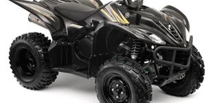 Yamaha Wolverine 350 2009 vs Rieju RRX 50 2009 Yamaha Wolverine 350 2009 vs Rieju RRX 50 2009