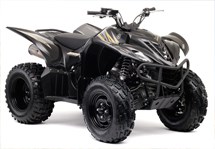 Yamaha Wolverine 450 2009 - Bild 2
