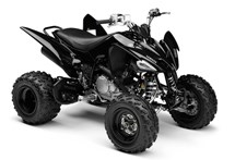 Yamaha YFM 250R 2009 - Bild 2