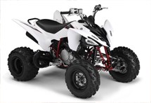 Yamaha YFM 250R 2009 - Bild 3