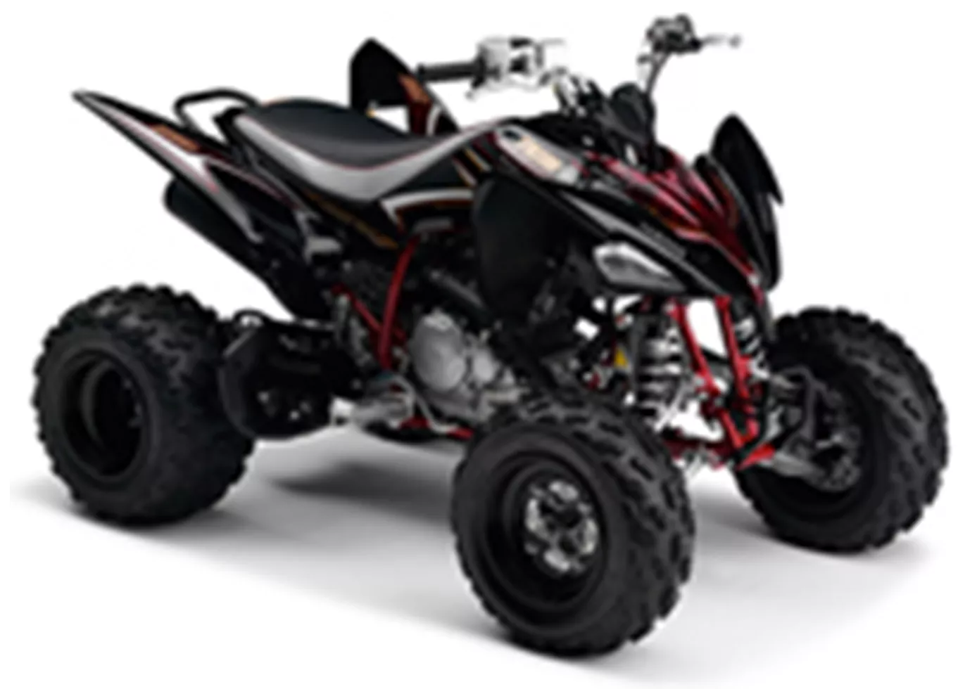 Yamaha YFM 250R 2009 Yamaha YFM 250R 2009