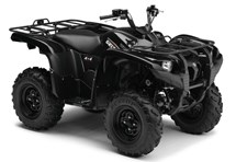 Yamaha Grizzly 550 2009 - Bild 3 Yamaha Grizzly 550 2009 - Bild 3