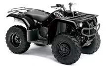 Yamaha Grizzly 350 Yamaha Grizzly 350