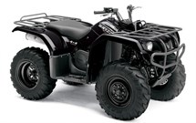 Yamaha Grizzly 350 2009 - Bild 2