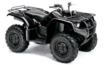 Yamaha Grizzly 350 2009 - Bild 3