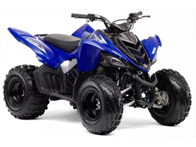 Yamaha YFM 90 2009 Yamaha YFM 90 2009