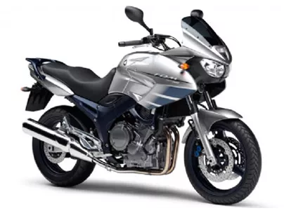 Yamaha TDM 900 2009 Yamaha TDM 900 2009