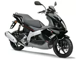 Derbi GP1 Racing 250 2009 Derbi GP1 Racing 250 2009
