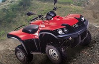 TGB BLADE 250 2009 - Bild 1