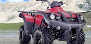 TGB BLADE 250 2009 vs TGB Blade 325 4x2 2009