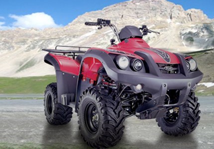 TGB Blade 325 4x2 2009 TGB Blade 325 4x2 2009