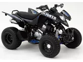 CPI XS 250 2009 CPI XS 250 2009