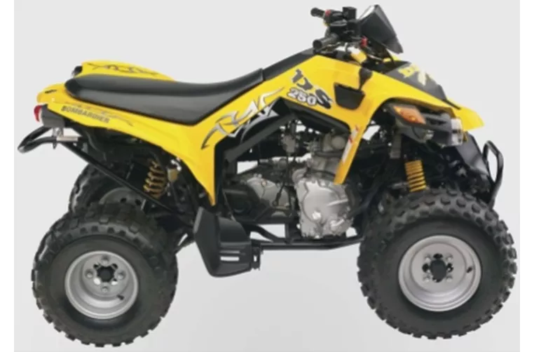 Can-Am DS 250 2009