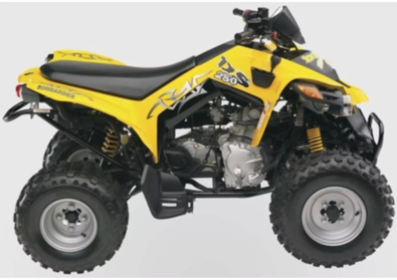 Can-Am DS 250 2009