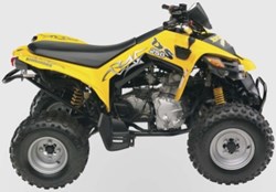 Can-Am DS 250 2009