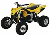Can-Am DS 450 2009 Can-Am DS 450 2009