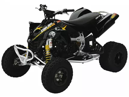Can-Am DS 450 X