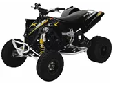 Can-Am DS 450 X 2009 Can-Am DS 450 X 2009