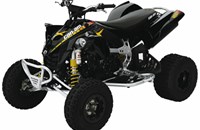 Can-Am DS 450 X 2009 - Bild 1