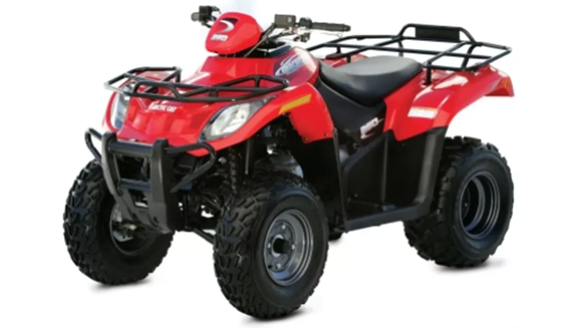 Arctic Cat 250 2x4 2009 Arctic Cat 250 2x4 2009