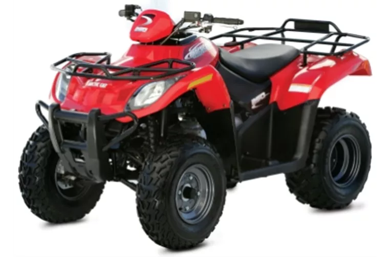 Arctic Cat 250 2x4 2009 Arctic Cat 250 2x4 2009