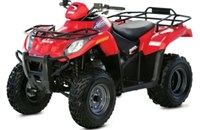 Arctic Cat 250 2x4 2009 - Bild 1