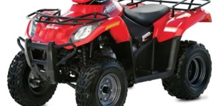 Arctic Cat 250 2x4 2009 vs Aprilia RS 50 2009