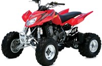 Arctic Cat 400 DVX 2009 - Bild 1 Arctic Cat 400 DVX 2009 - Bild 1