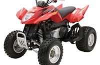 Arctic Cat 250 DVX 2009 - Bild 1