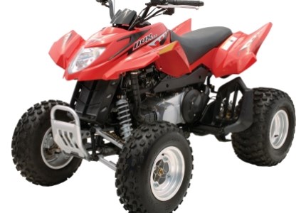 Arctic Cat 250 DVX 2009