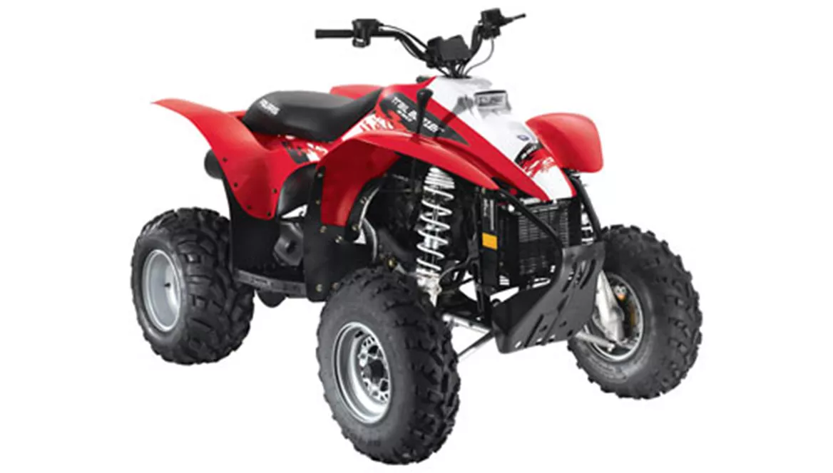 Polaris Trail Blazer 330 E 2009 Polaris Trail Blazer 330 E 2009