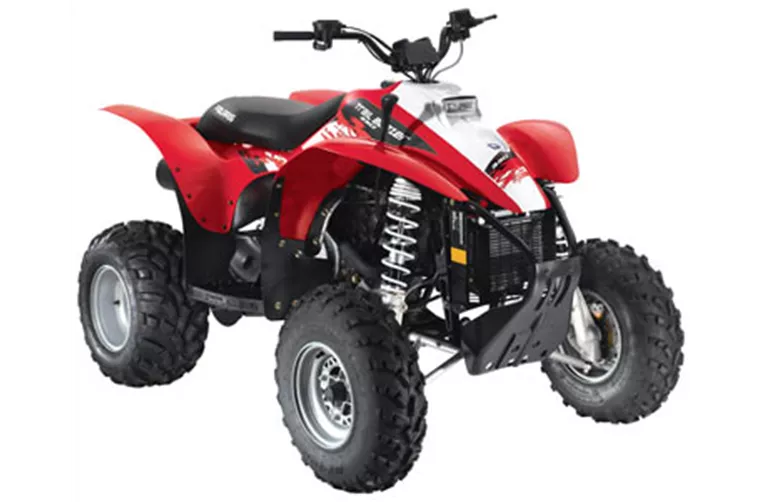 Polaris Trail Blazer 330 E 2009 Polaris Trail Blazer 330 E 2009