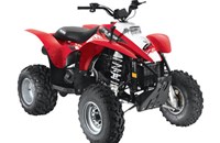 Polaris Trail Blazer 330 E 2009 - Bild 1