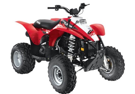 Polaris Trail Blazer 330 E 2009