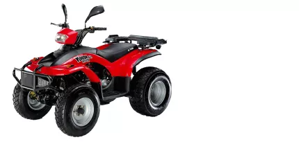 E-Ton Yukon 150 E-Ton Yukon 150