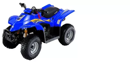 E-Ton Viper 40 E-Ton Viper 40