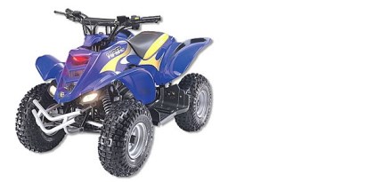 E-Ton Viper 50 mini 2009