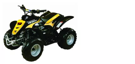 E-Ton Viper 90R E-Ton Viper 90R