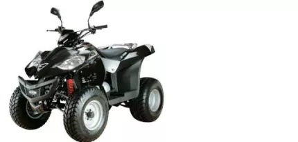 E-Ton Vector ST 250 E-Ton Vector ST 250