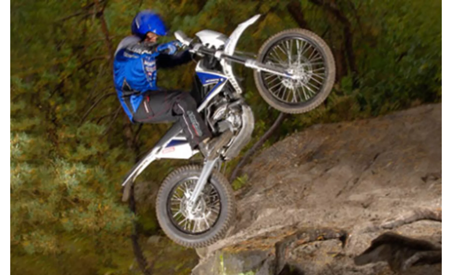 Scorpa SY 250 FR 2009 Scorpa SY 250 FR 2009