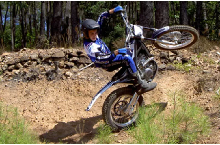 Scorpa SY 250 F Longride 2009 Scorpa SY 250 F Longride 2009