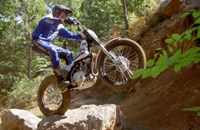 Scorpa SY 125 FR 2009 - Bild 1